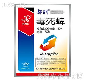 40%������-���x-�ڵ���