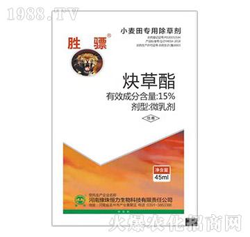 15%Ȳ����-ԥ�����