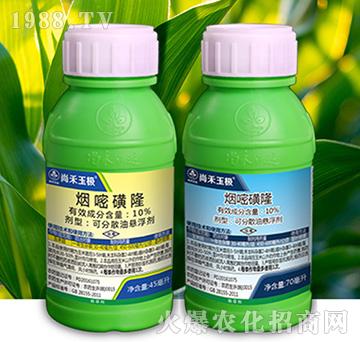 10%���׻�¡-�к���O-�к����_