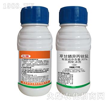 41%�ݸ�좮������}-����-�|������