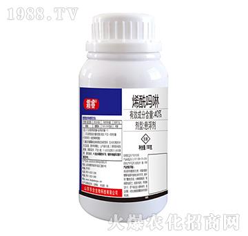 40%ϩ������-˪�-�|������