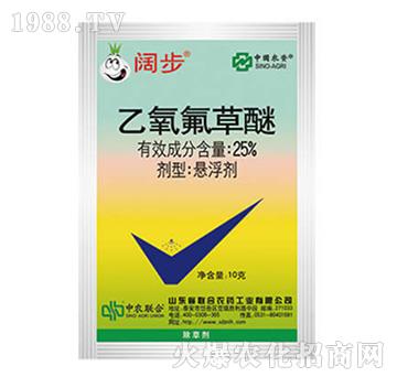 25%����������-韲�-���r(li��n)��