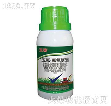 60��ÿ��������������-��ϲ-���r(n��ng)(li��n)��