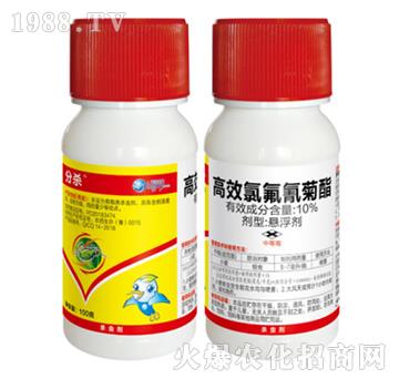 10%��Ч�ȷ������-�֚�-��������