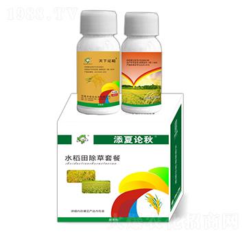 15%�p����+25%���������-����Փ��-�S�՘�