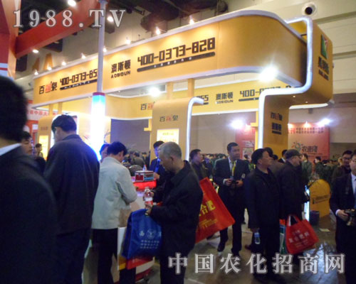 ��˹�D���ݷ����p�������̻�