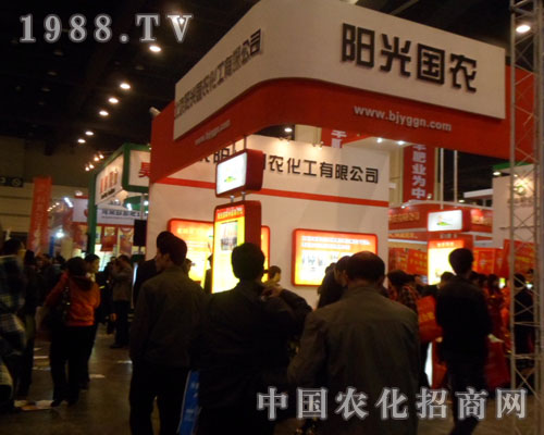 ꖹ���r2012���ݷ��ϕ����̻�