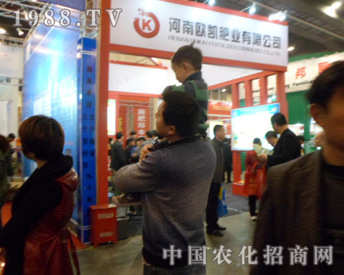 �W�P�ʘI(y��)��չ���ݷ��ϕ�