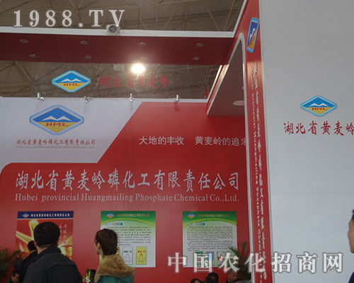 �S���X���������S�յ�ǰ��