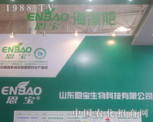     �������������ʮ�����׏�(f��)�ʕ�