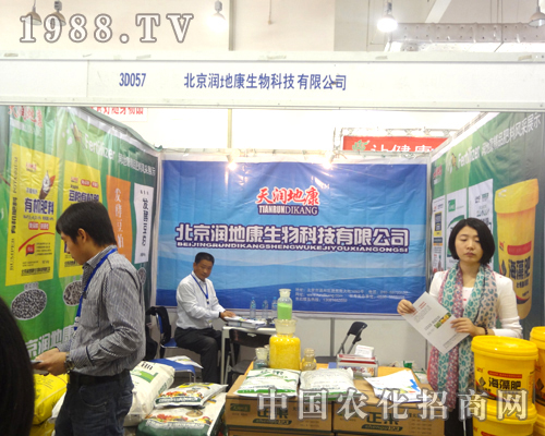     ���ؿ�����δ�����ӵ�������