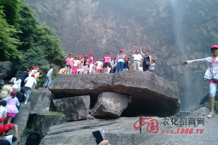 ���_����Ӱ