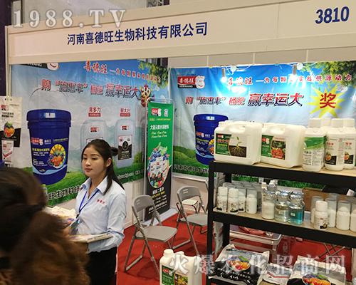 ϲ��������2018�Ϸ��r�Y���[���������̳ɹ�