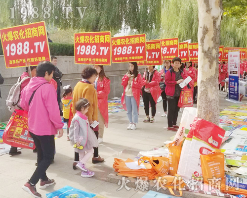     ��24��ɽ�|ֲ�����ו��ϻ��r(n��ng)���W(w��ng)��Ӣ�ɳ�������(zh��n)����