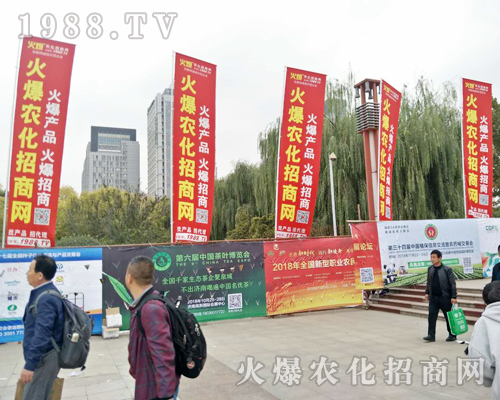 2018ɽ�|ֲ���p����(hu��)�������r(n��ng)���W(w��ng)ȫ���������̹���