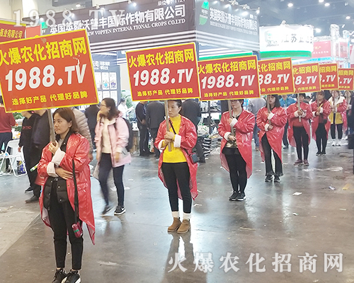     2018�����r(n��ng)ˎ��(hu��)�����r(n��ng)���W(w��ng)׌�fǧ�S�̳ɹ��_��(chu��ng)δ��