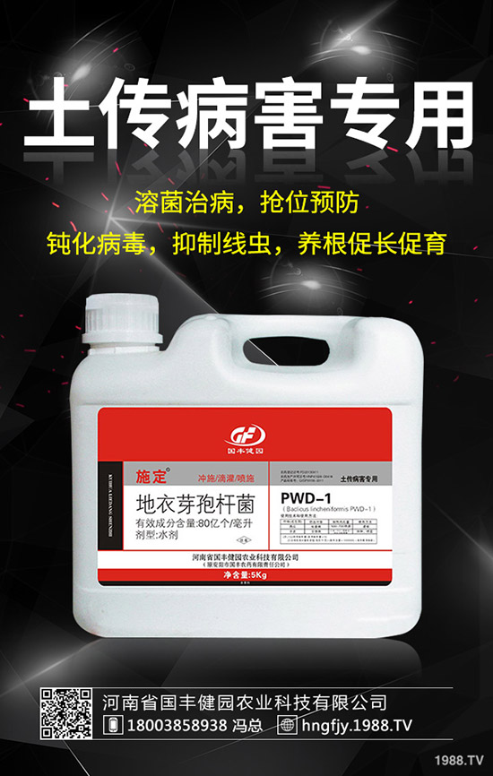 С�����݄�ʲô�r���ã�С������݄��ĕr�g��ע�������