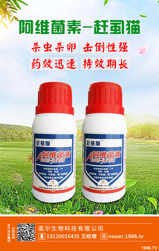 ��ײ˚��x���r������