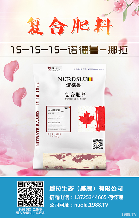 香蔥該如何栽培？秋茬香蔥高產(chǎn)技術(shù)要點(diǎn)