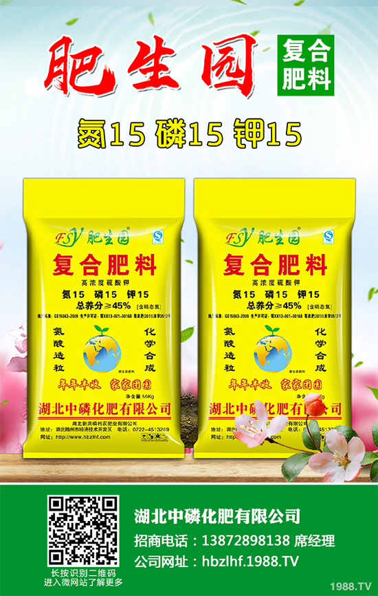 香菜如何施肥產(chǎn)量更高？秋茬香蔥高產(chǎn)施肥方案