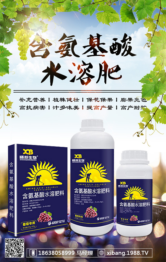 香蔥常見病害有哪些？香蔥病蟲害防治技術大全