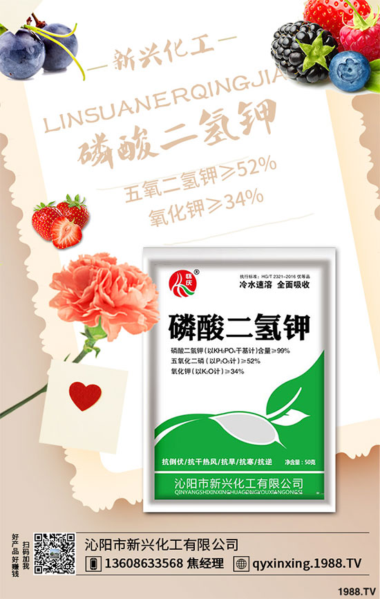 香蔥連作危害大，到底該如何解決？香蔥連作障礙及高產(chǎn)管理技術(shù)！