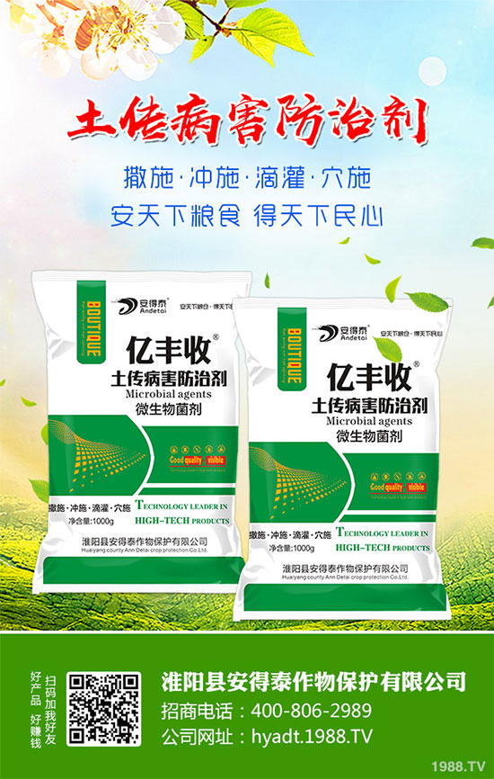 白蘿卜的功效與作用，白蘿卜營養(yǎng)價值！