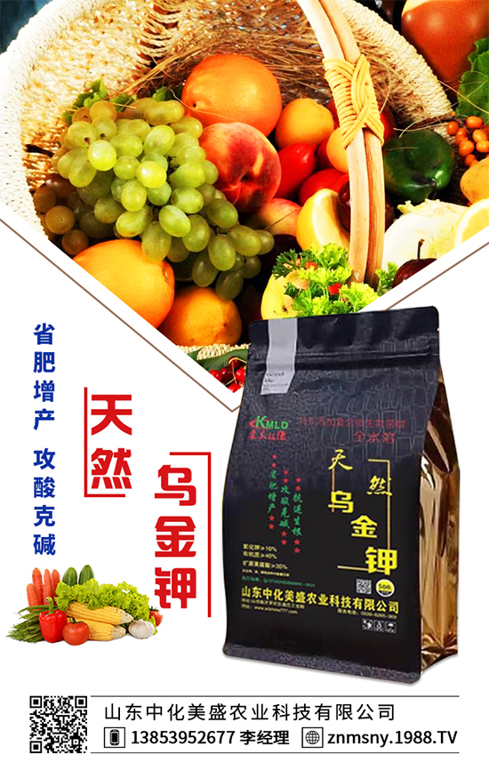 �۲˞�ʲô�����F(xi��n)���ģ��۲˿��ĵķ��δ�ʩ��