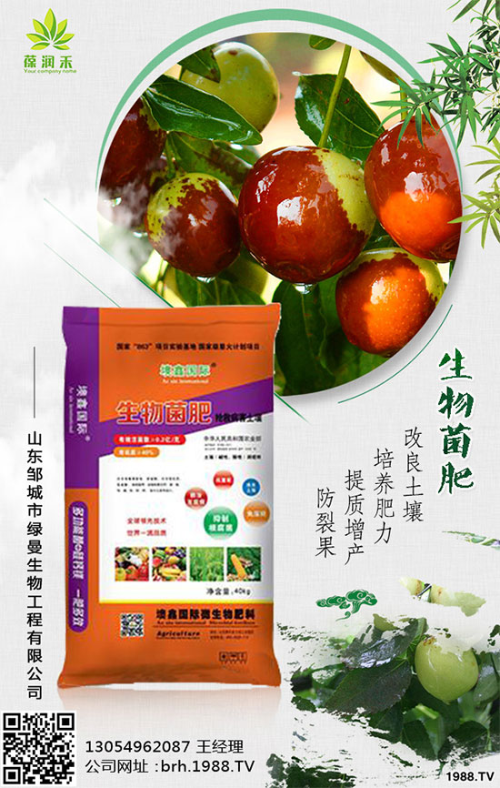 �������t����ô�������������t���߮a(ch��n)������