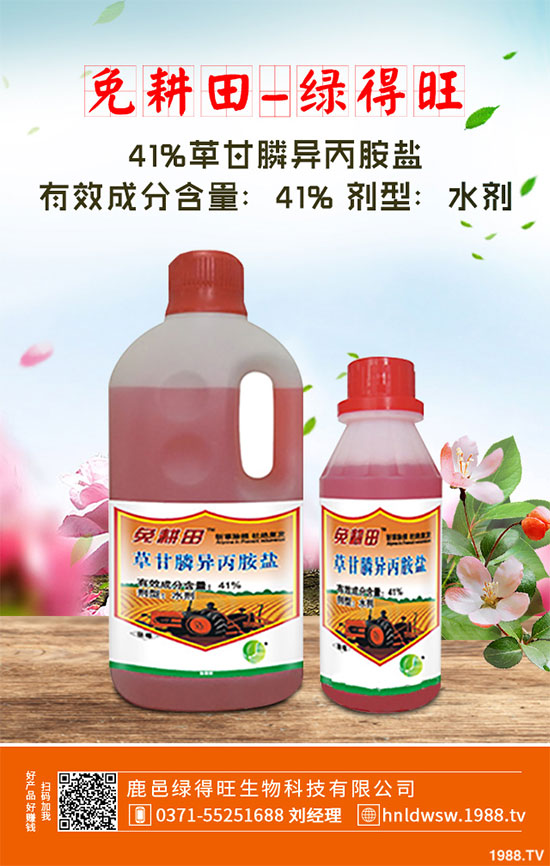 小白菜遇到白斑病該怎么辦？白菜白斑病防治措施