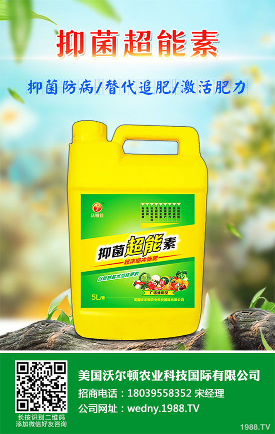 小白菜遇到白斑病該怎么辦？白菜白斑病防治措施