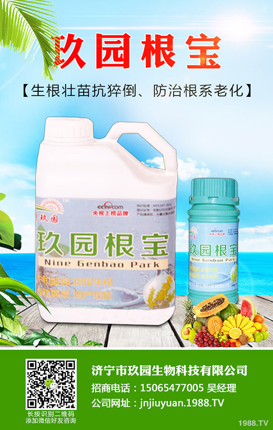 菠菜蚜蟲如何防？菠菜蚜蟲的危害及發(fā)生規(guī)律！