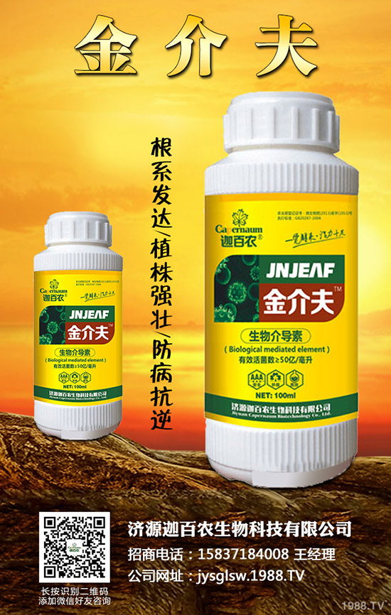 ���������o��������ô�k�������o���������\���c������