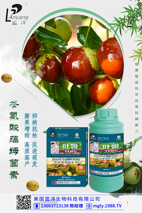 �ײ�ܛ��������������������ЩΣ�����ײ�ܛ�����İl(f��)���c����