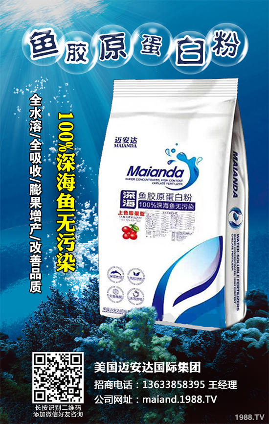 �ײ�ܛ��������������������ЩΣ�����ײ�ܛ�����İl(f��)���c����