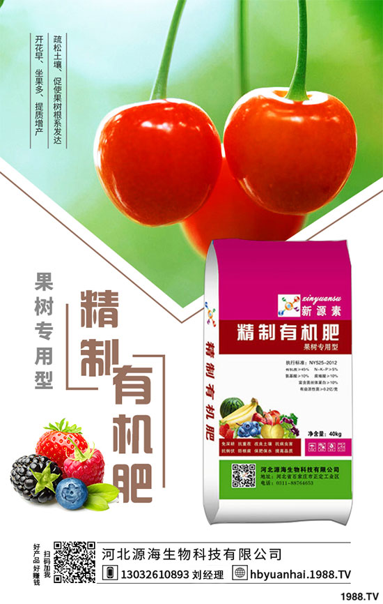 2020���㹽�Nֲǰ����Σ�2020���㹽�Nֲٍ�X����