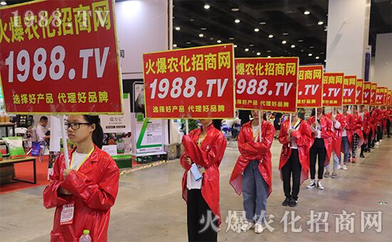 ǧ�̅R������Ʒ�Ƽ�|2019�����r(n��ng)����ʢ���_Ļ��