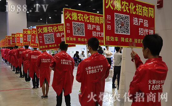 ǧ�̅R������Ʒ�Ƽ�|2019�����r(n��ng)����ʢ���_Ļ��