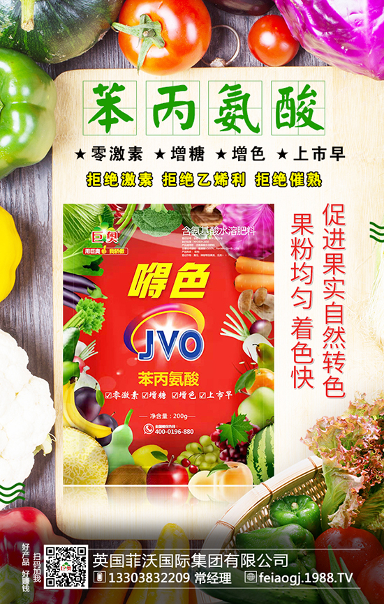 Ӣ�����և��H���F(tu��n)���޹�˾6