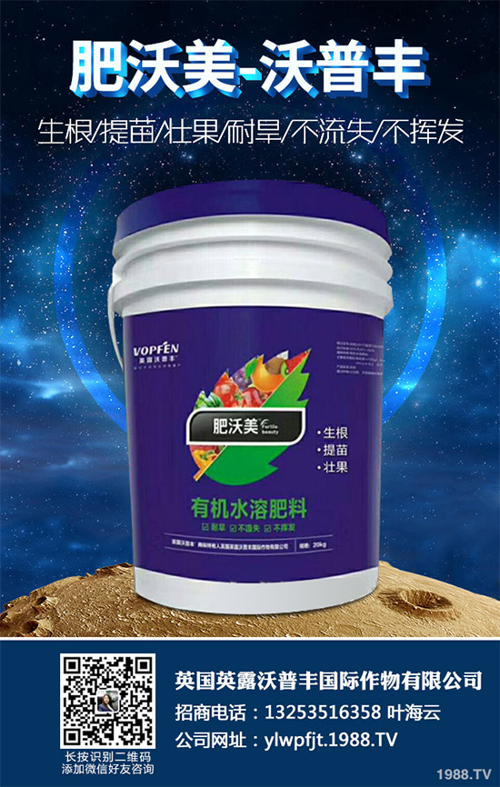     �f�������ˣ����źܶ����Ѷ�ϲ�g������Փ�ǳ�������߀�ǠC���������˶��в�һ�ӵ��L(f��ng)ζ�����������҂���Ҋ�ĵ��߲�֮һ�������˵ĠI�B(y��ng)�r(ji��)ֵ�Ը������ˣ����h(yu��n)�h(yu��n)��(y��u)���n�S����ô�������˵ĠI�B(y��ng)�r(ji��)ֵ����Щ��������������Щ��̎����