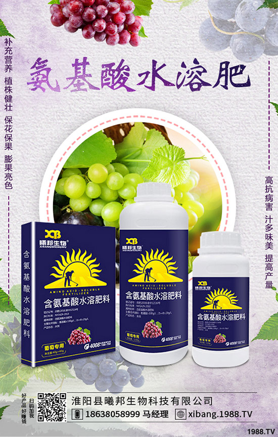 �＾�}����ô�Nֲ���＾�}���Nֲ���g(sh��)������Ҫ�c(di��n)��