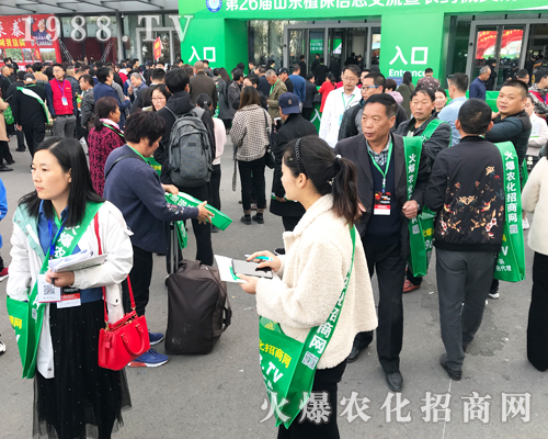     2019ɽ�|��(j��)��ֲ���p�������r(n��ng)�����̾W(w��ng)��ٶ��w��