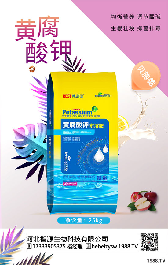 ����ը���ӷNֲ�����¹����༼�g(sh��)��