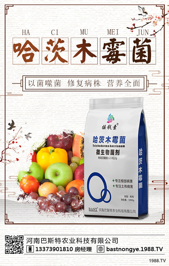 2019.10.9���ո��؅^(q��)��(f��)�Ϸʳ��S��(b��o)�r(ji��)һ�[