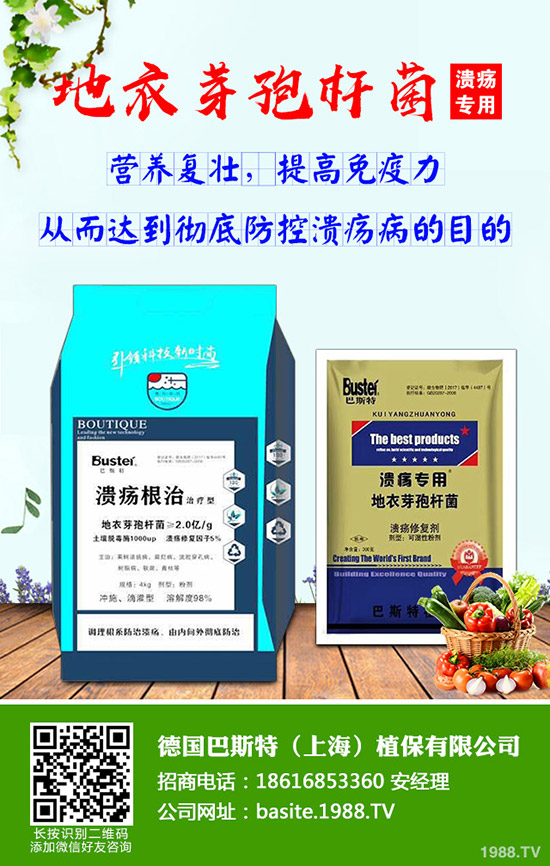 ���Շ�(gu��)��(n��i)�������@����(b��o)�r(ji��)������������(b��o)2019-10-9