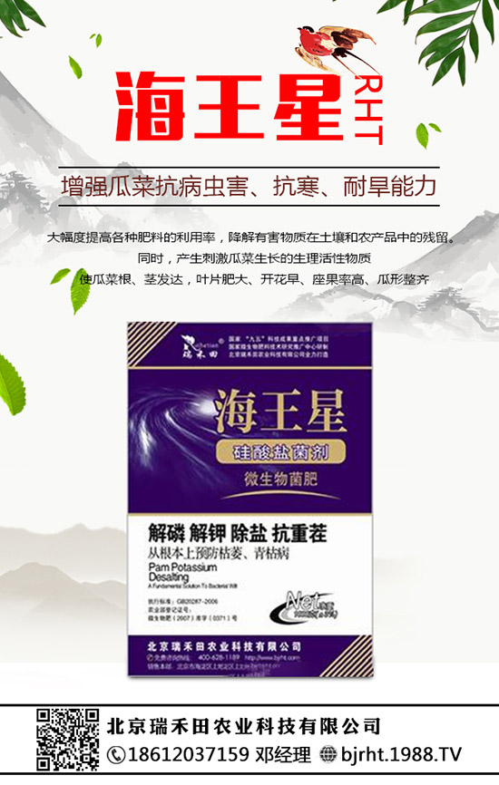 2020��Nֲ������ٍ�X�����������ķNֲǰ��������