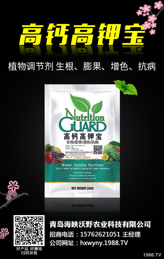 ���@�r����ݷž���2019��11��12�Շ���(n��i)���@�r�������