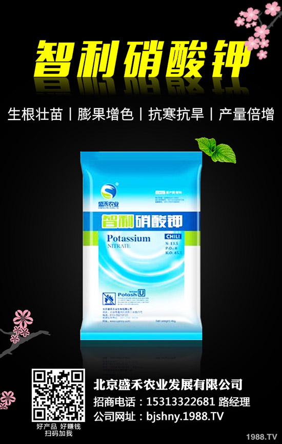 黑豆什么時(shí)候種植,黑豆的種植要點(diǎn)有哪些?