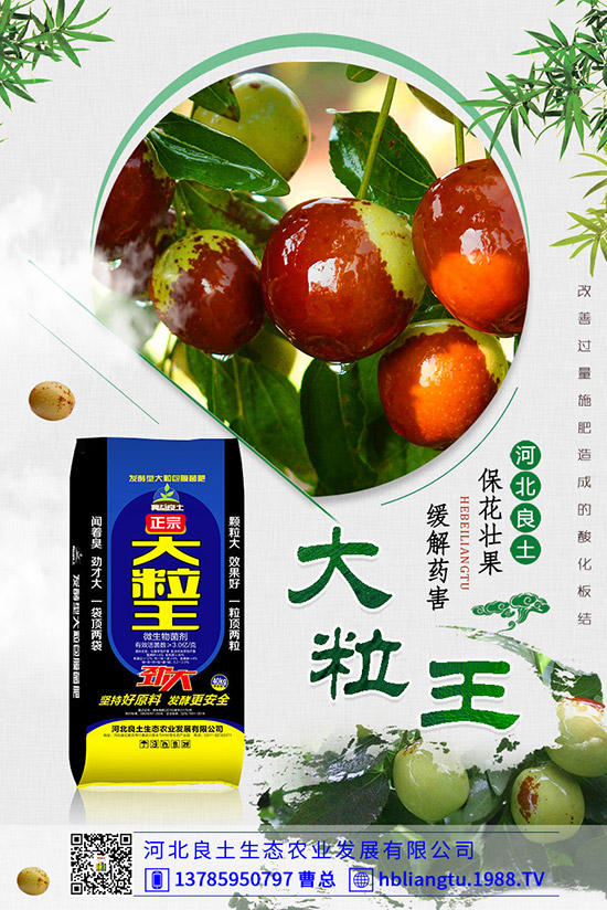 ����仨���ԭ������Щ����������������ʣ�