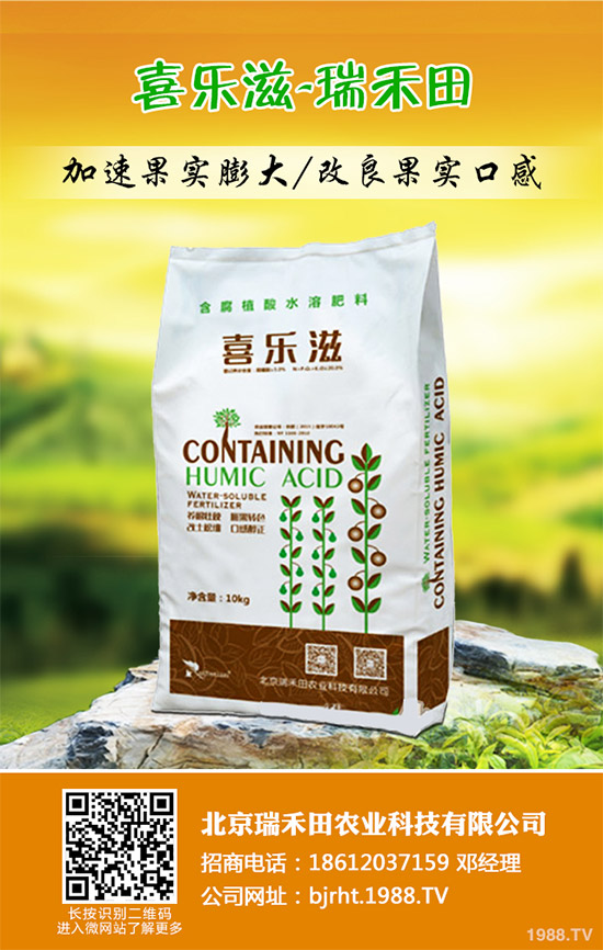 2019��11��12�ս��ո������؏S�҈�(b��o)�r(ji��)�^�m(x��)�µ������غ����A(y��)�y(c��)��